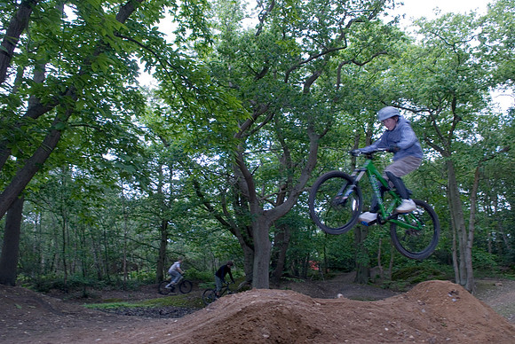 Wisley Jumps