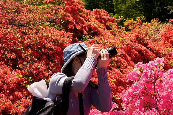 Photo Workshop