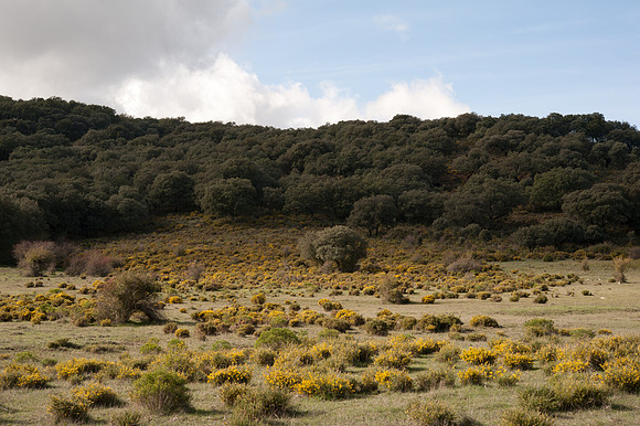 Sierra del Endrinal