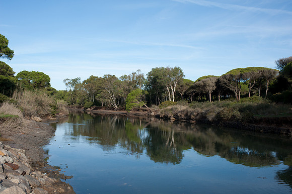 River at Puerto de Conil
