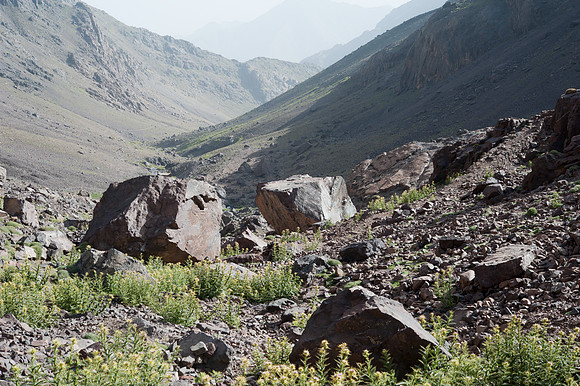 Toubkal Trail