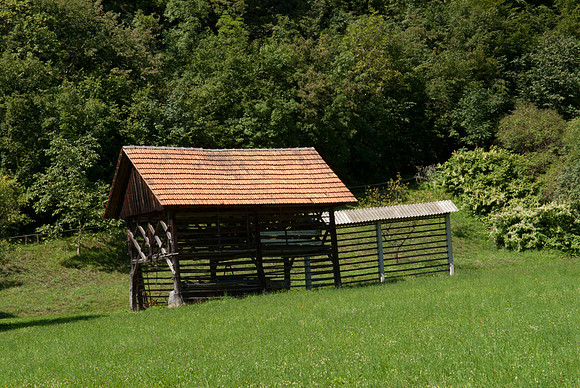 Bohinjska Bela Hayrick