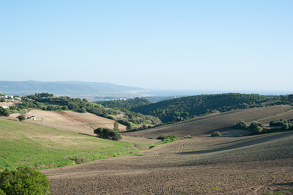 View near Vejer de la Frontera