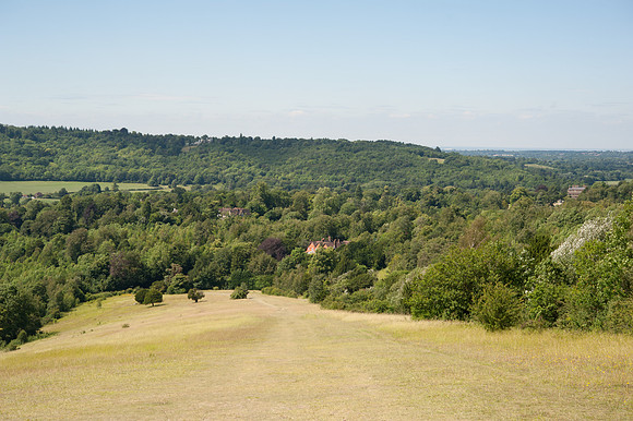 Box Hill