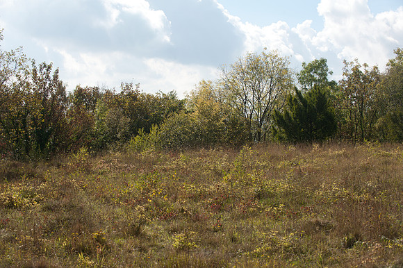 Brockham Quarry