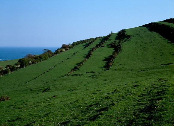 Lychetts near Worth Matravers, Purbeck, dorset