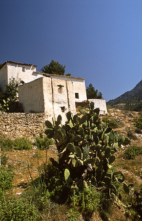 Abandoned Village near Frigilliana