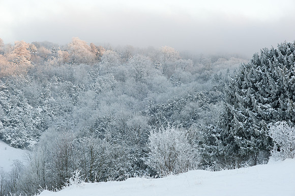 Box Hill