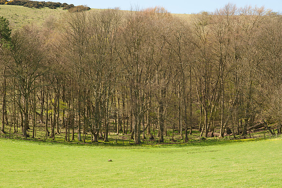 Folkington, Sussex