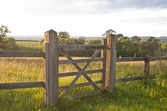 Sedgehill
