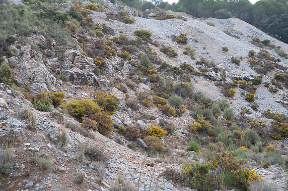 Sierra de Mijas