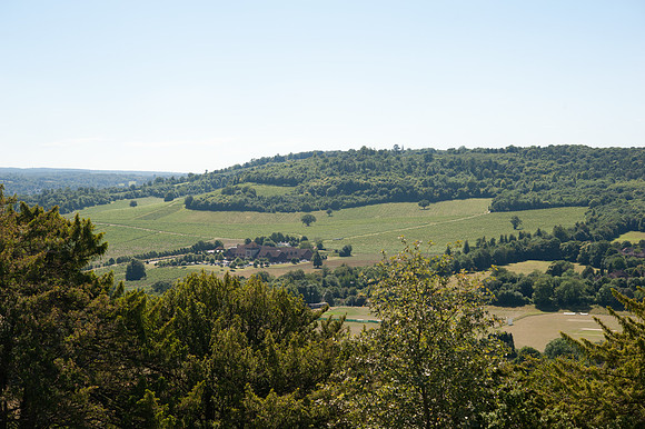 Denbies