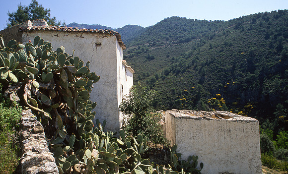 Abandoned Village near Frigilliana
