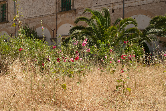 San Martino