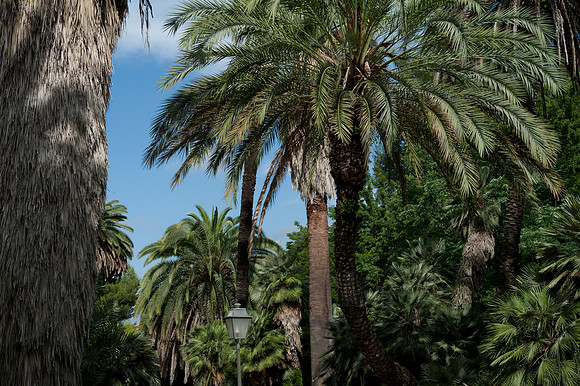 Orte Botanico