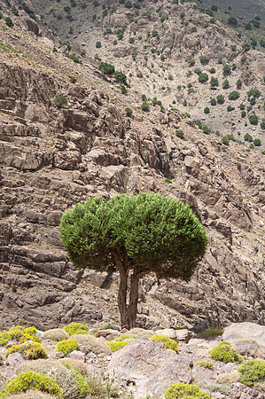 Toukbal ascent