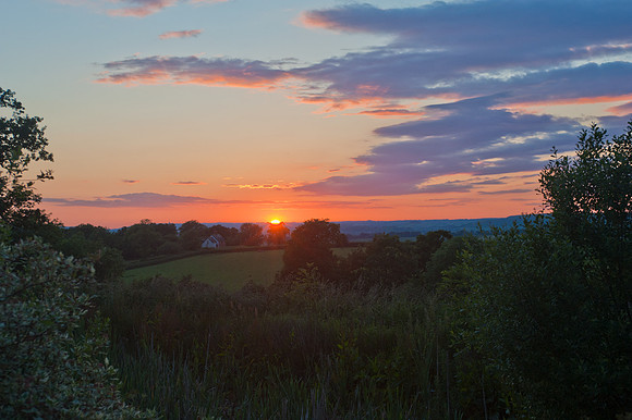 Sedgehill