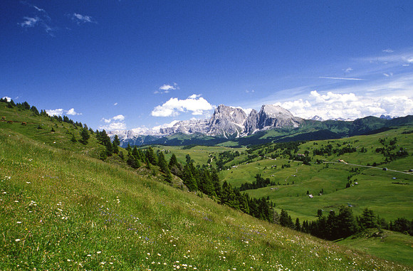 Alpe di Siuisi from Puflatschalpe