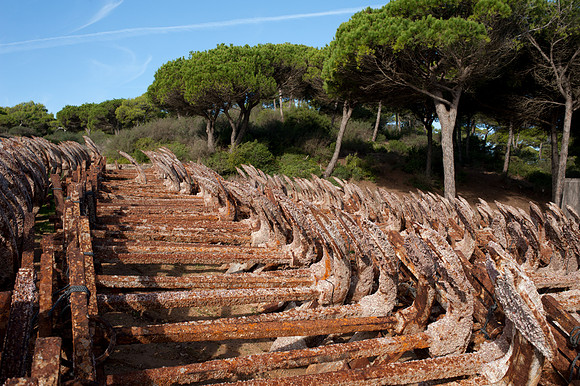 Anchors at Puerto de Conil