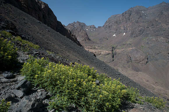 Toubkal Ascent