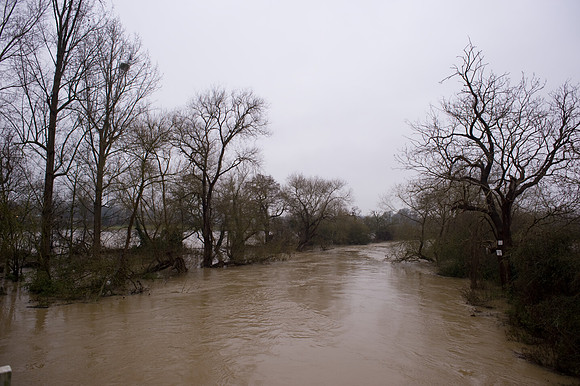 Flooding of river Mole Cobham Surrey