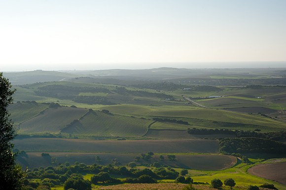 View near Vejer de la Frontera
