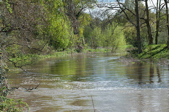 Flooded River Wey