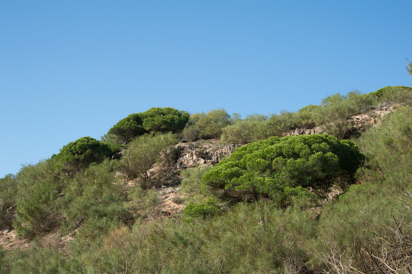 La Brena y Marismas de Barbate