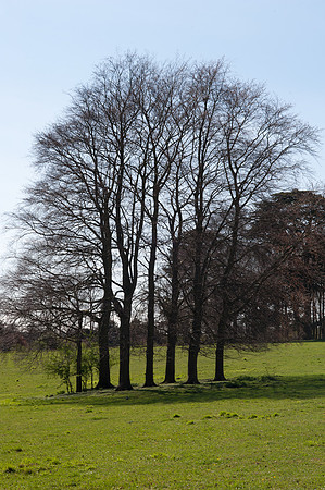 Polesden Lacey, Surrey