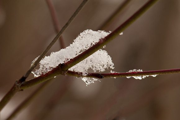 Snow