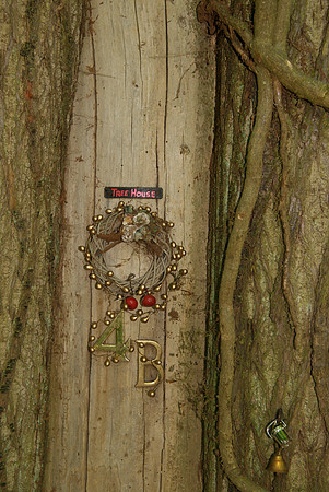 Puttenham tree door