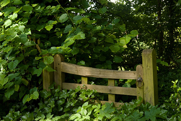 Small gate at Seale