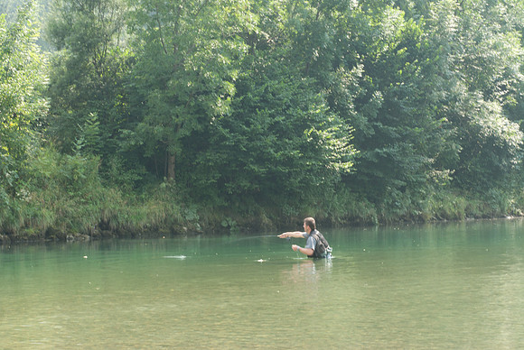 Sava Bohinjka fly fishing