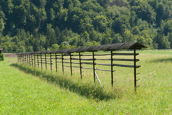 Bohinjska Bela Hayrick