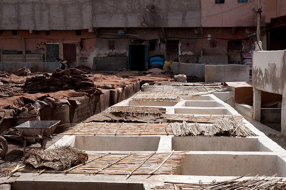 Marrakech Tanneries
