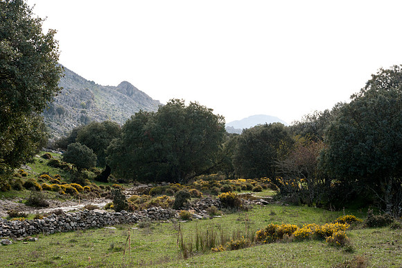 Sierra del Endrinal