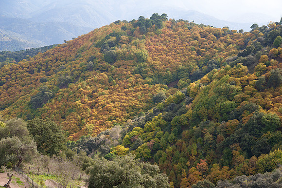 View near Gaucin