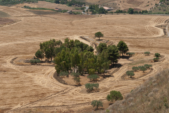 Cefalà Diana