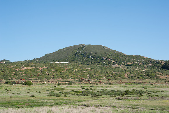 Zahara de los Atunes Painted Fields