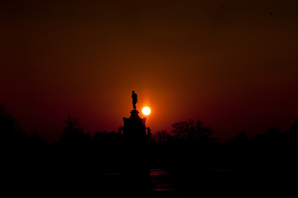 Bushy Park Sunset
