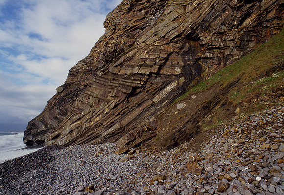 Millook Haven