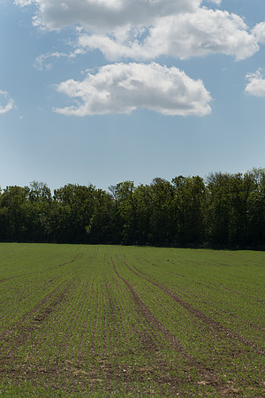 Howell Hill fields