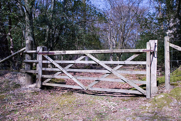 Gate