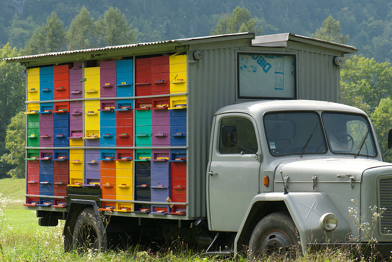 Obroc beehives