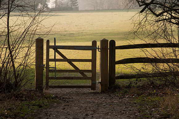Gate