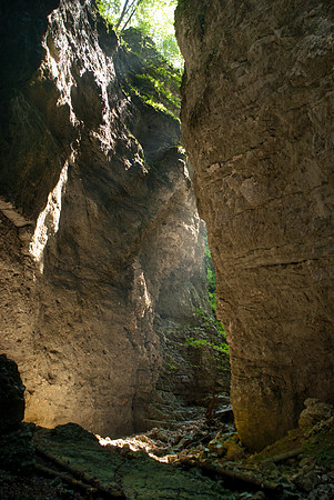 Pokljuka Gorge