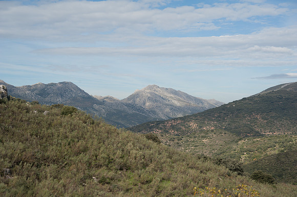 View near Benaladid