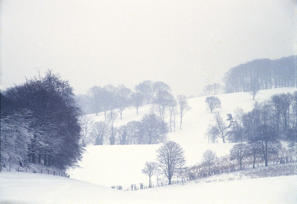 Snow at Juniper Hill