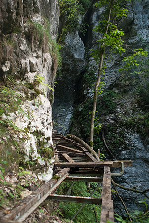 Pokljuka Gorge