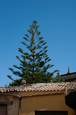 Bagheria